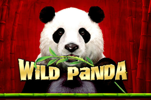 wildpanda online spielen
